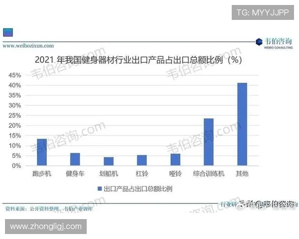 专业运动健身器材网站推荐及产品优势分析