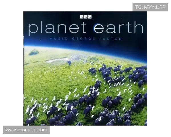 足球运动文化的全球传播与影响力拓展