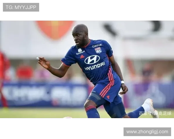 法甲外援现状调研：数量、分布与整体贡献排名