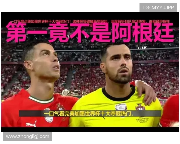 从遗憾到传奇阿根廷世界杯亚军背后的坚韧与荣耀之路奋斗精神传承